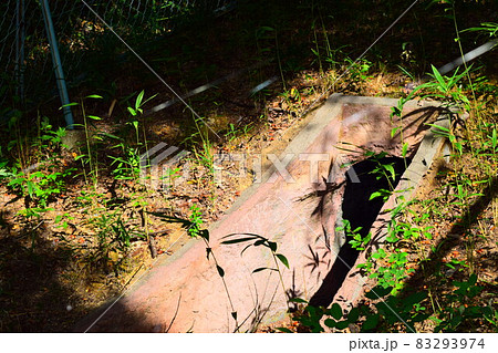 高蔵寺73号窯跡 83293974