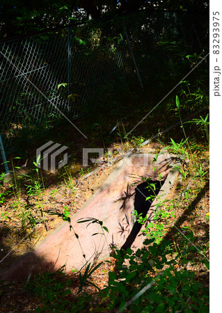 高蔵寺73号窯跡 83293975