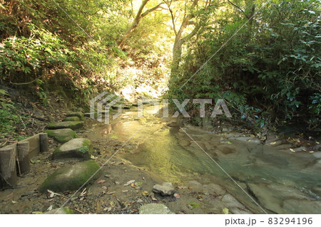 大楠山　前田川遊歩道 83294196