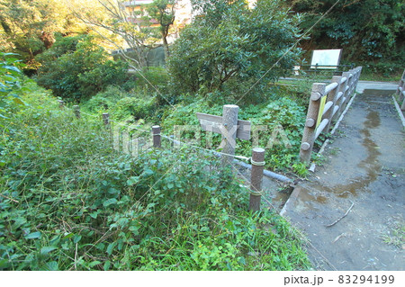 大楠山　前田川遊歩道 83294199