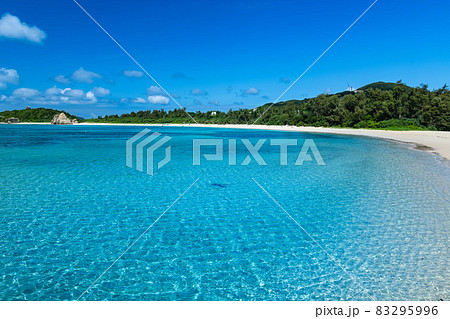 沖縄ケラマ綺麗な砂浜の阿波連ビーチ 83295996