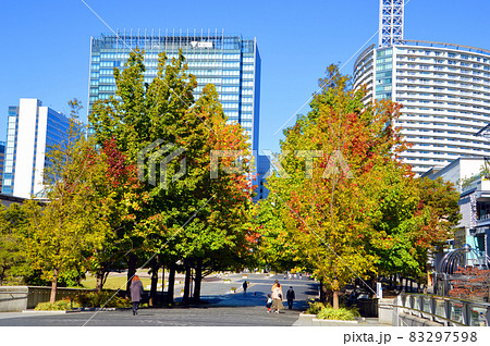 みなとみらい地区の都市公園 83297598