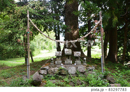 石祠･狐の石像（武田神社 境内裏手／山梨県甲府市甲府市） 83297783