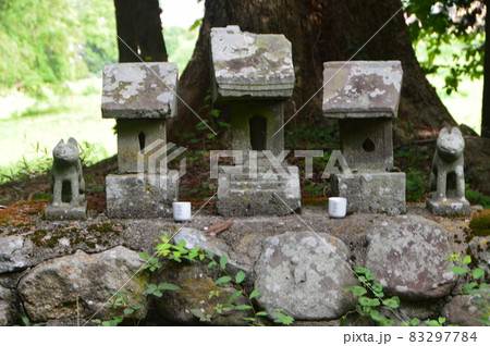 石祠･狐の石像（武田神社 境内裏手／山梨県甲府市甲府市） 83297784