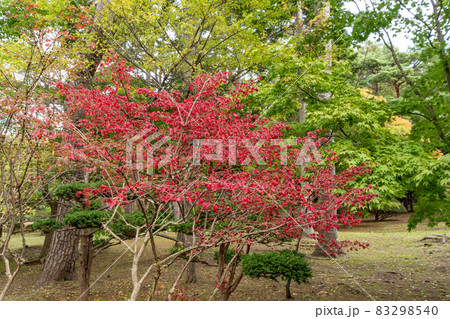 秋の庭園_庭園のお手入れ 秋の庭園_庭園のお手入れ 83298540