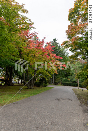 秋の庭園_庭園のお手入れ 秋の庭園_庭園のお手入れ 83298541