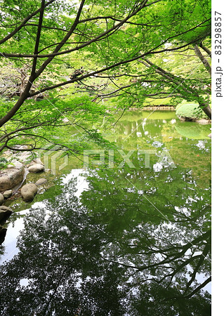 東京都庭園美術館　旧朝香宮邸　日本庭園　港区白金台 83298857
