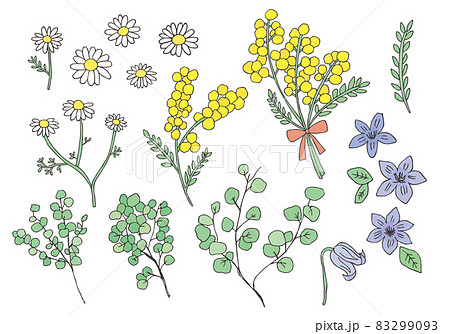 手描きの花・植物イラストセット線画（カラー） 83299093