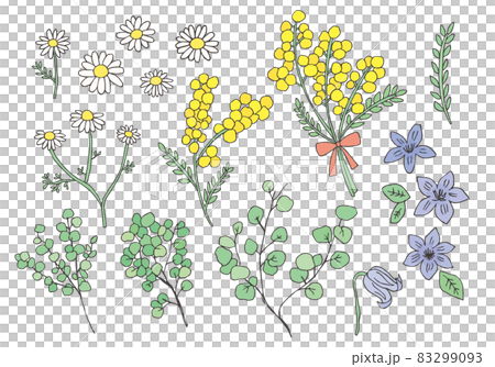 手描きの花・植物イラストセット線画（カラー） 83299093