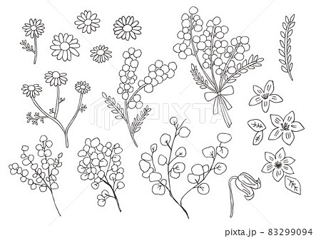手描きの花 植物イラストセット線画 モノクロ のイラスト素材