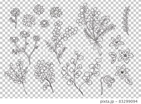 手描きの花・植物イラストセット線画（モノクロ） 83299094
