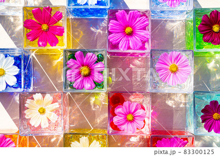 般若寺　コスモスのグラスキューブ 83300125