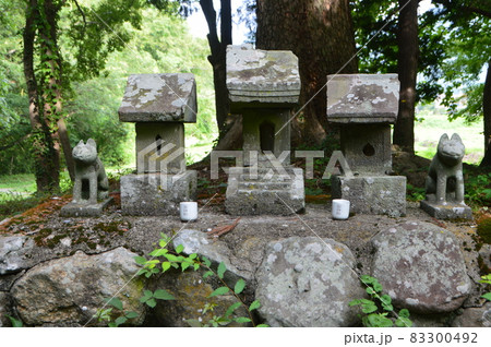 石祠(武田神社 境内裏手/山梨県甲府市甲府市) 石祠(武田神社 境内裏手/山梨県甲府市甲府市) 83300492