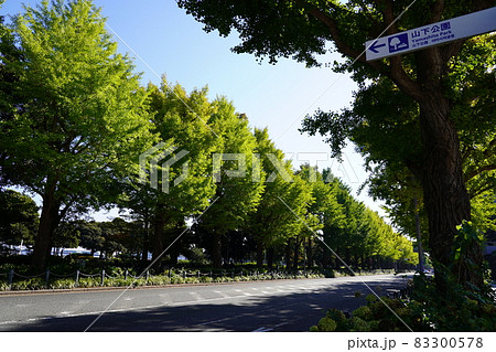 山下公園通り 山下公園通り 83300578