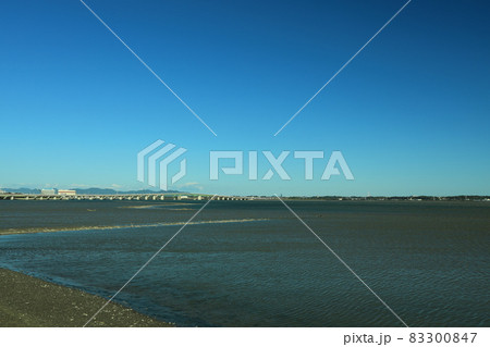 三河湾大橋と汐川干潟 三河湾大橋と汐川干潟 83300847