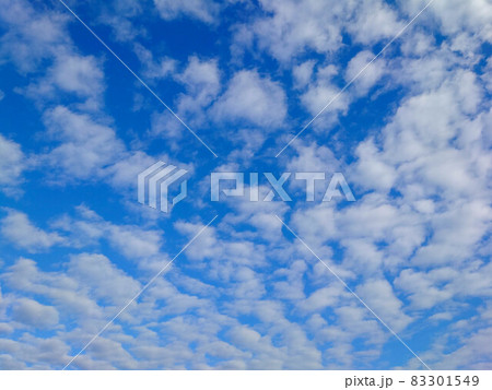 ひつじ雲 83301549