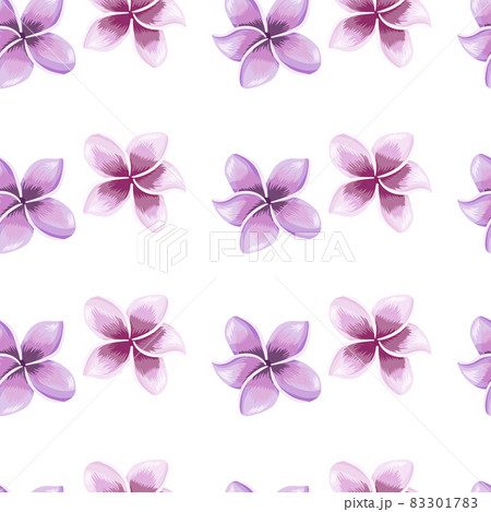 Beautiful plumeria flower seamless pattern isolated on white background. Beautiful plumeria flower seamless pattern isolated on white background. 83301783