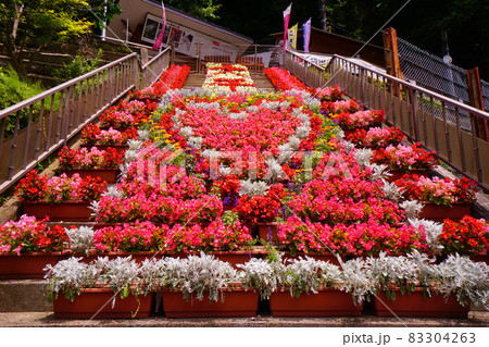 ハートの花壇 ハートの花壇 83304263