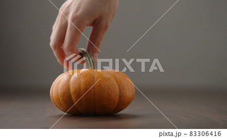 man hand put small orange pumpkin on walnut table with copy space man hand put small orange pumpkin on walnut table with copy space 83306416