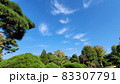 ブルー 爽やか 爽やかである 83307791