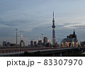 夕暮れ時の虹色のスカイツリーと都内の橋 83307970