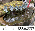 8体の龍がいる手水舎 83308537