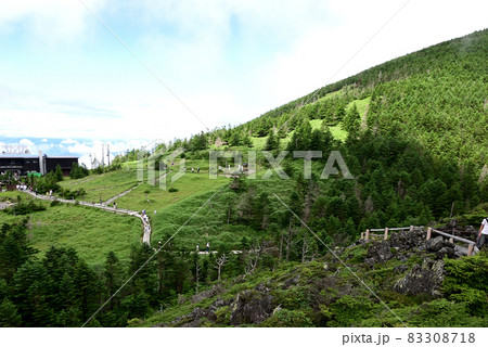 ピラタス蓼科ロープウェイ山頂駅から北八ヶ岳坪庭自然園への遊歩道 ピラタス蓼科ロープウェイ山頂駅から北八ヶ岳坪庭自然園への遊歩道 83308718
