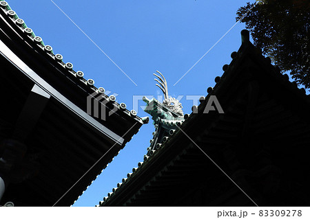 <東京都>湯島聖堂 <東京都>湯島聖堂 83309278