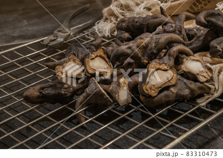 Water caltrop, Water Chestnut, Trapa natans Water caltrop, Water Chestnut, Trapa natans 83310473