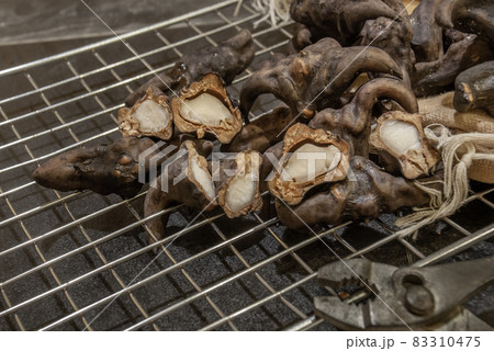 Water caltrop, Water Chestnut, Trapa natans 83310475