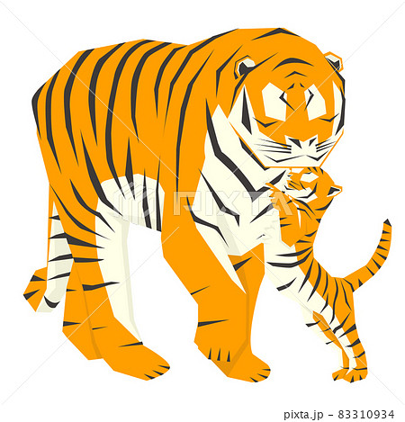 虎のイラスト 虎のイラストのイラスト素材 [81595790] - PIXTA