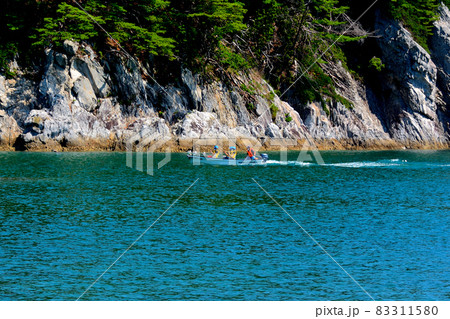 浄土ヶ浜・浄土ヶ島の緑と、白い岩が創り出す極楽浄土の風景を進むさっぱ船・東北・岩手県宮古市(1) 83311580