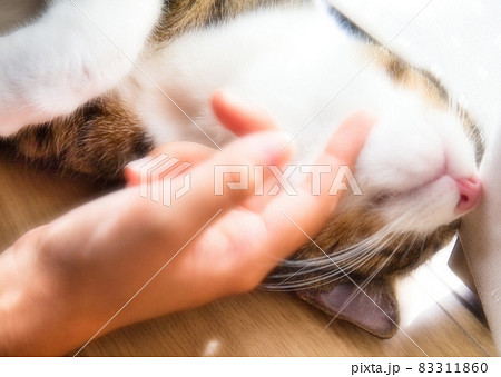 至福の時間 至福の時間 83311860