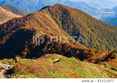 秋景色・谷川岳天神尾根 83311877