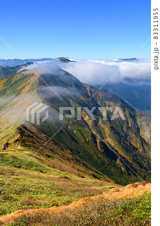青空と紅葉の山並み・谷川連峰 青空と紅葉の山並み・谷川連峰 83311955