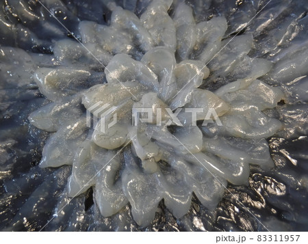 ふぐ刺し　〜Fugu sashimi 83311957