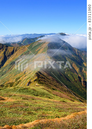 青空と紅葉の山並み・谷川連峰 青空と紅葉の山並み・谷川連峰 83311960