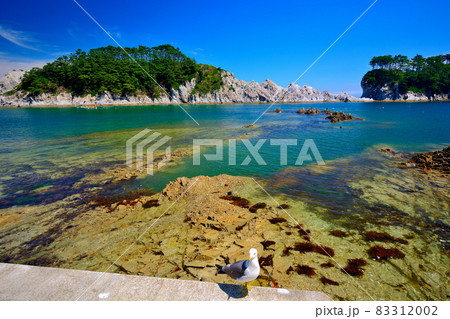 浄土ヶ浜・砥石浜・遊歩道からかもめと一緒に眺める極楽浄土、浄土ヶ島、剣の山・東北・岩手県宮古市(1) 83312002