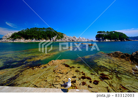 浄土ヶ浜・砥石浜・遊歩道からかもめと一緒に眺める極楽浄土、浄土ヶ島、剣の山・東北・岩手県宮古市(2) 83312003