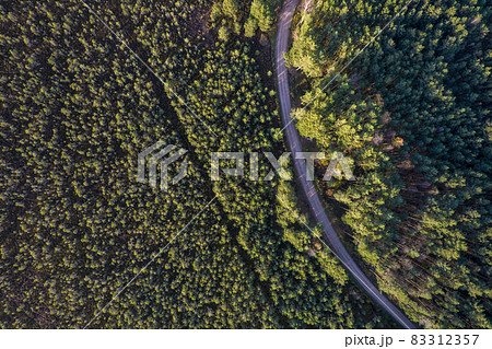 Aerial view from drone of rural road leading through autumn forests and groves in yellow green colors. Dense forest in golden time and empty highway in fall season. Roadway among colorful treetops Aerial view from drone of rural road leading through autumn forests and groves in yellow green colors. Dense forest in golden time and empty highway in fall season. Roadway among colorful treetops 83312357