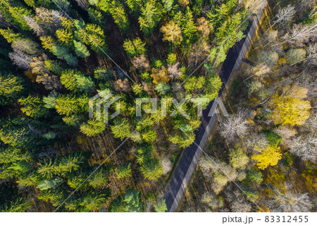 Aerial view from drone of concrete road leading through autumn dense forests and groves in yellow green colors. Trees in golden time and empty highway in fall season. Roadway among colorful treetops Aerial view from drone of concrete road leading through autumn dense forests and groves in yellow green colors. Trees in golden time and empty highway in fall season. Roadway among colorful treetops 83312455
