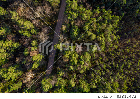 Aerial view from drone of rural road leading through autumn forests and groves in yellow green colors. Dense forest in golden time and empty highway in fall season. Roadway among colorful treetops 83312472