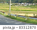 田舎の田園風景～コスモスの咲くころ～ 83312870