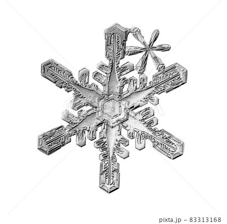 Black snowflake isolated on white background. Illustration based on macro photo of real snow crystal: elegant star plate with short, broad arms, glossy relief surface and complex inner details. Black snowflake isolated on white background. Illustration based on macro photo of real snow crystal: elegant star plate with short, broad arms, glossy relief surface and complex inner details. 83313168