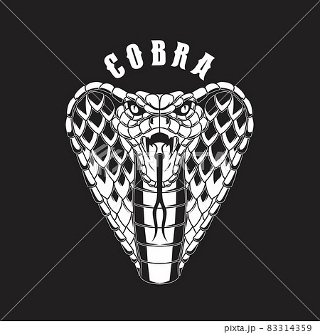 Illustration of cobra snake. Design element for logo, label, sign, emblem, poster. Vector illustration Illustration of cobra snake. Design element for logo, label, sign, emblem, poster. Vector illustration 83314359