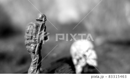 A soldier in war always walks with, together and towards death A soldier in war always walks with, together and towards death 83315463