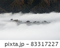 竹田城の雲海 83317227