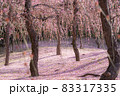 城南宮の梅 83317335