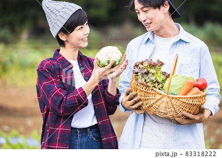 畑で野菜を収穫するカップル 83318222