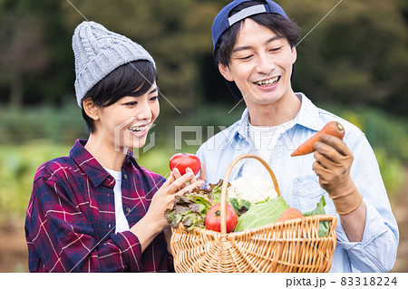畑で野菜を収穫するカップル 83318224